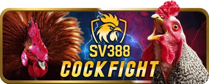 Hướng dẫn chơi game an toàn tại jn88